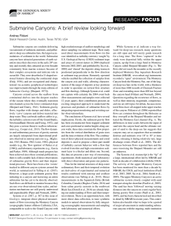 Submarine Canyons: A brief review looking forward