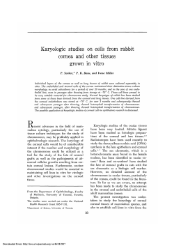Karyologic Studies on Cells From Rabbit Cornea and Other