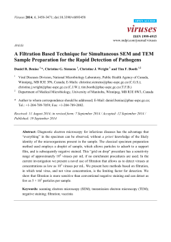 A Filtration Based Technique for Simultaneous SEM and TEM