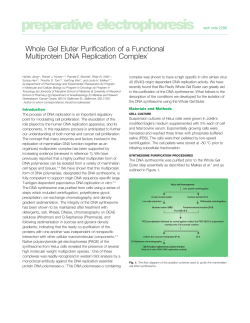 Whole Gel Eluter Purification of a Functional Multiprotein DNA
