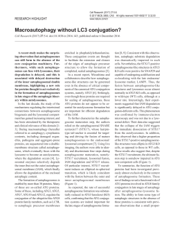 Macroautophagy without LC3 conjugation?