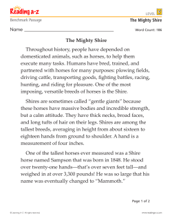 Level V - Battle Of the Books