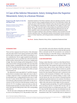A Case of the Inferior Mesenteric Artery Arising from the Superior