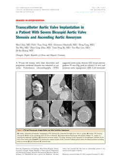 Transcatheter Aortic Valve Implantation in a&euro;Patient With Severe