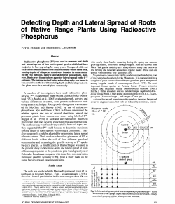 this PDF file - Journals at the University of Arizona