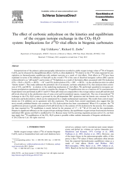 The effect of carbonic anhydrase on the kinetics and equilibrium of