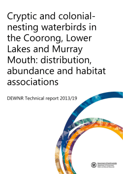 Cryptic and colonial- nesting waterbirds in the Coorong