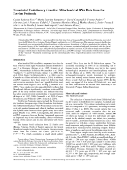 Neandertal Evolutionary Genetics: Mitochondrial DNA Data from the