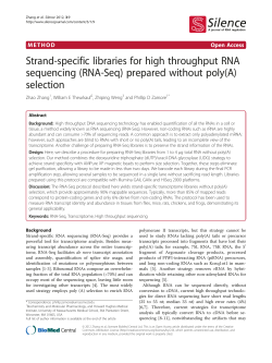 Strand-specific libraries for high throughput RNA