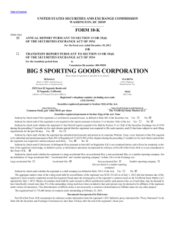 big 5 sporting goods corporation