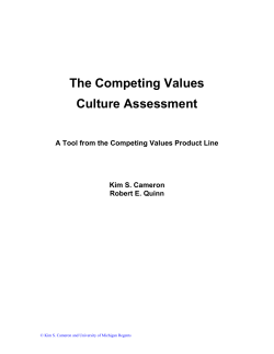 The Competing Values Culture Assessment