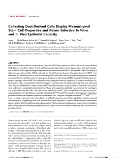 Collecting Duct-Derived Cells Display