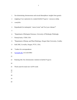 Sex-determining chromosomes and sexual dimorphism: insights