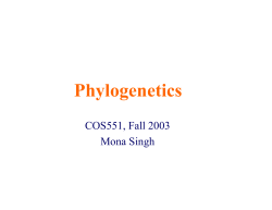 Phylogenetics - Princeton CS