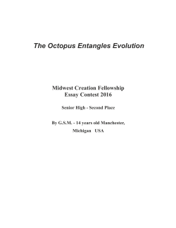 The Octopus Entangles Evolution