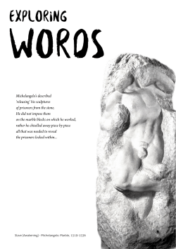 Exploring - Kew Studio