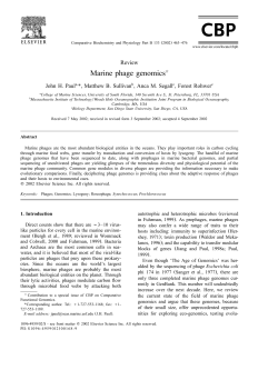 Marine phage genomics