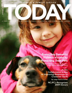 a PDF version of "Protecting Domestic Violence Victims by