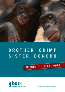 information about Great Ape Rights