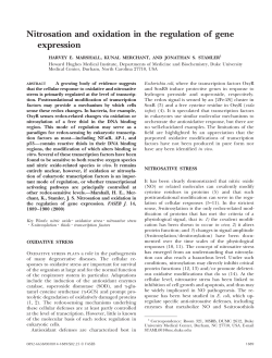 Nitrosation and oxidation in the regulation of gene expression