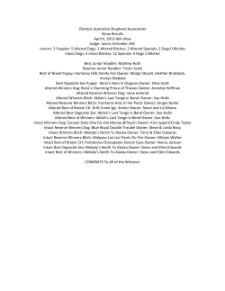Olympic Australian Shepherd Association Show Results April 6