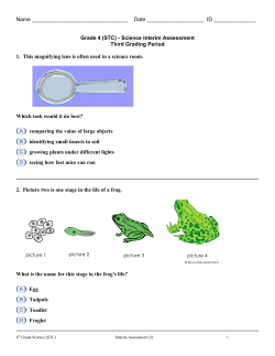 Grade 4 (STC) - Science Interim Assessment