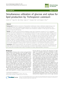 Simultaneous utilization of glucose and xylose for