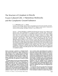 The Structure of Cytoplasm in Directly Frozen