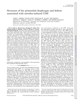 Structure of the primordial diaphragm and defects associated with