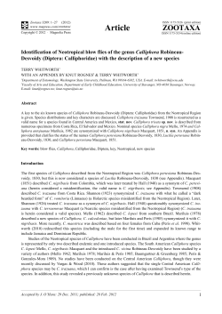 Identification of Neotropical blow flies of the genus