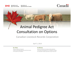Animal Pedigree Act Consultation on Options