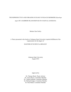 The Reproductive and Foraging Ecology of Black Skimmers on a