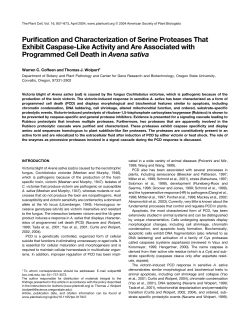 Purification and Characterization of Serine Proteases That Exhibit