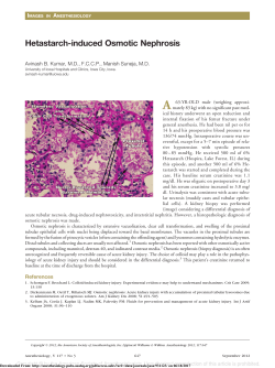 Hetastarch-induced Osmotic Nephrosis - Anesthesiology