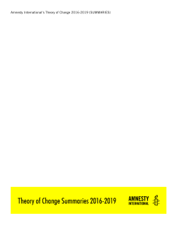 Amnesty International`s Theory of Change 2016