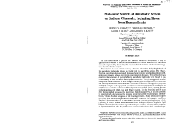 Molecular Models of Anesthetic Action on Sodium Channels
