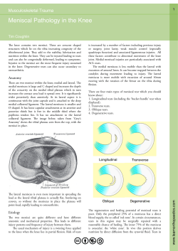 Meniscal Pathology in the Knee