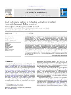 Small-scale spatial patterns in N2-fixation and nutrient availability in