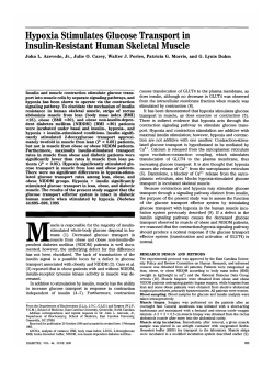 Hypoxia Stimulates Glucose Transport in Insulin