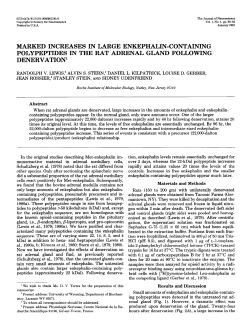 marked increases in large enkephalin