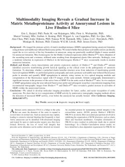 Multimodality Imaging Reveals a Gradual Increase in Matrix