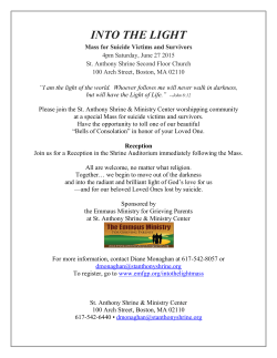 Into the Light Mass Information