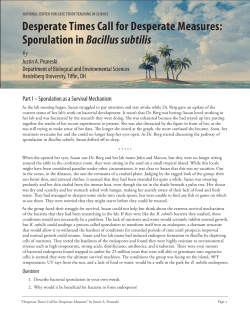 Sporulation in Bacillus subtilis Desperate Times Call for Desperate