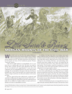 Little Sorrel and Rienzi - American Morgan Horse Association