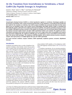 At the Transition from Invertebrates to Vertebrates, a Novel GnRH