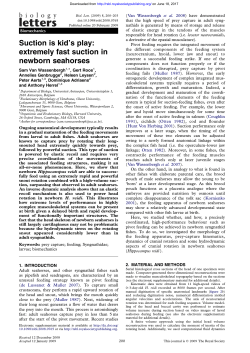 Suction is kid`s play: extremely fast suction in newborn seahorses