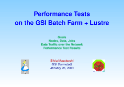 Performance Tests on the GSI Batch Farm + Lustre