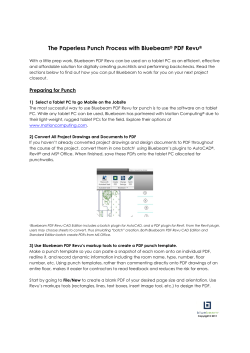 Bluebeam Punch Instructions.docx