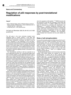 Regulation of p53 responses by post-translational