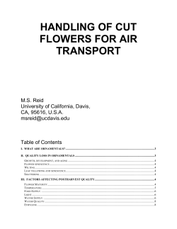 HANDLING OF CUT FLOWERS FOR AIR TRANSPORT